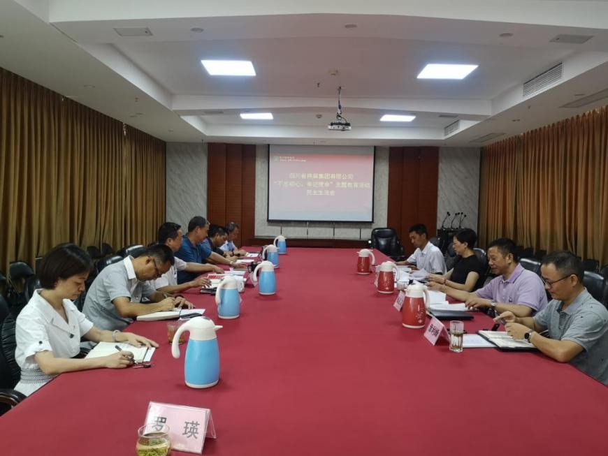 集團(tuán)公司召開“不忘初心、牢記使命”主題教育活動(dòng)民主生活會(huì)